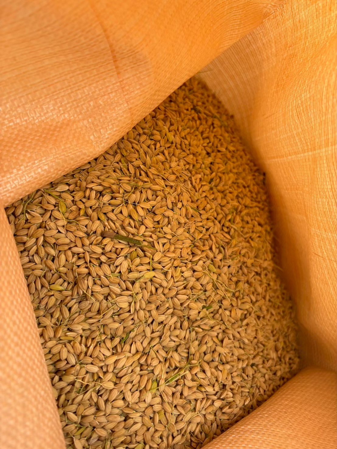 NPO法人日進野菜塾